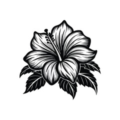 Elegant hibiscus flower in smooth vector line art, black ink style on white canvas in Adobe Illustrator Artwork