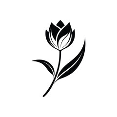 Stylized tulip in delicate black and white silhouette style with flowing stem and leaf design, high contrast  isolated on white background in Adobe Illustrator Artwork