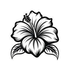 Elegant hibiscus flower in smooth vector line art, black ink style on white canvas in Adobe Illustrator Artwork