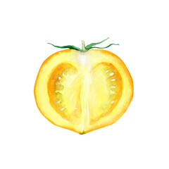 トマト 黄色　野菜 断面　水彩 イラスト