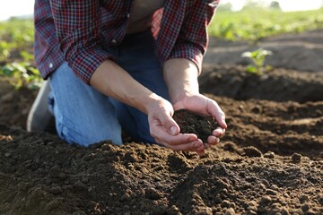 Man holding pile of soil in field, closeup