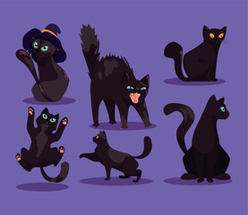 Six black cats posed in various postures on a purple background