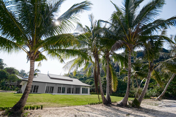 Tropical Beachfront House Surrounded by Palm Trees Under Bright Sunlight