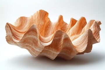 Abstract, sculpted,  decorative shell bowl