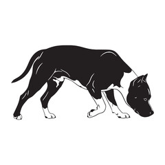 An enduring American Staffordshire Terrier canine digital black image, timeless and appealing - American Staffordshire Terrier silhouette - Amstaff Vector - Silhouette of Amstaff - dog vector

