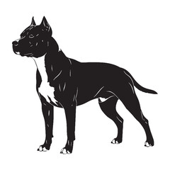 A versatile American Staffordshire Terrier black vector asset, modern digital image for uses - American Staffordshire Terrier silhouette - Amstaff Vector - Silhouette of Amstaff - dog silhouette

