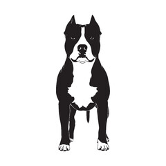 A confident American Staffordshire Terrier black vector artwork, showing its strong presence - American Staffordshire Terrier silhouette - Amstaff Vector - Silhouette of Amstaff - dog silhouette

