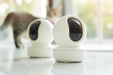 Two smart home security cameras rests on a floor while a curious cat explores the bright room