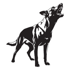 A loyal Belgian Malinois black vector artwork, showing its strong presence - Belgian Malinois silhouette - Belgian Malinois Vector - Silhouette of Belgian Malinois - dog silhouette

