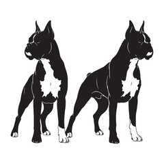 A loyal Boxer black vector artwork, showing the breed's strong presence - Boxer silhouette - Boxer Vector - Silhouette of Boxer - dog silhouette

