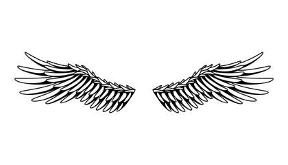 Wings sketch. Stylized birds wings. Hand drawn contoured stiker wing in open position. Vector design elements in coloring style