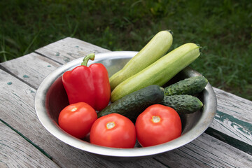 Bowl full of freshly harvested vegetables on wooden table outside. Concept of organic farming, healthy eating, homegrown food.