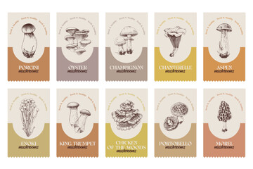 Mushroom labels with hand drawn illustrations