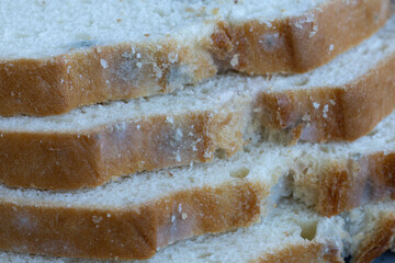 Mold on white bread close up