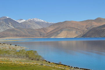 Pangong Tso in Leh, Ladakh is the highest brackish water lakes in the world.
