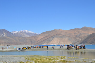 Pangong Tso in Leh, Ladakh is the highest brackish water lakes in the world.