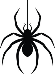 spider vector illustration on transparent background