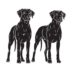 Iconic Rhodesian Ridgeback digital black representation - Rhodesian Ridgeback silhouette - Rhodesian Ridgeback Vector - Silhouette of Rhodesian Ridgeback - dog vector

