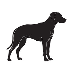 Imposing Rhodesian Ridgeback digital black silhouette - Rhodesian Ridgeback silhouette - Rhodesian Ridgeback Vector - Silhouette of Rhodesian Ridgeback - dog silhouette

