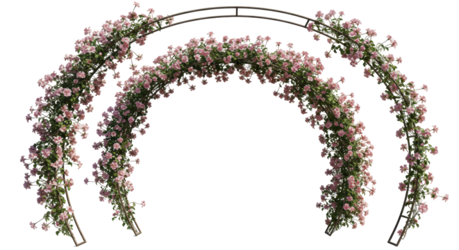 Isolated Set of Three Floral Arches with Pink Flowers