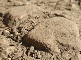 Warm-toned close-up of a textured rock on a dirt ground