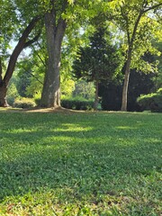 path in the park
