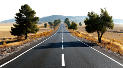 Scenic Route: A straight asphalt road stretches into the distance, flanked by green trees under the bright sky, a road trip scenery.