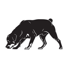 Presenting a standard Rottweiler digital black vector, easy to use and adapt - Rottweiler silhouette - Rottweiler Vector - Silhouette of Rottweiler - dog vector

