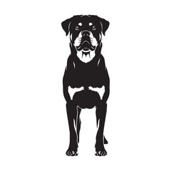 Featuring an authentic Rottweiler canine digital black visual, accurately representing the breed - Rottweiler silhouette - Rottweiler Vector - Silhouette of Rottweiler - dog vector

