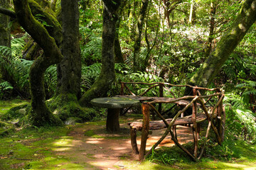 Rastplatz mit tisch und b&auml;nken mitten im wald auf Madeira