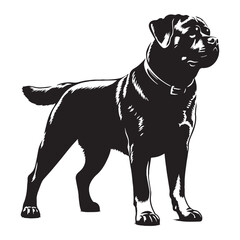 An imposing Rottweiler digital black silhouette, reflecting its confident disposition - Rottweiler silhouette - Rottweiler Vector - Silhouette of Rottweiler - dog silhouette

