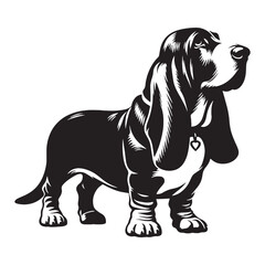 Featuring an authentic Basset Hound canine digital black visual, accurately representing the breed - Basset Hound silhouette - Basset Hound Vector - Silhouette of Basset Hound - dog vector

