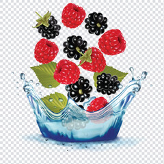 blue and red berry splash of water