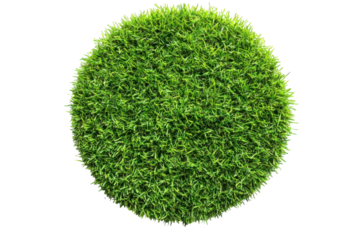 Green Sphere Globe of Grass Ecology Concept Lawn Ball on Black Environmental Awareness and Nature