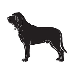 Showcasing a dignified Bloodhound digital form, simple yet impactful for designs - Bloodhound silhouette - Bloodhound Vector - Silhouette of Bloodhound - dog vector

