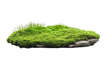 Fototapeta premium Verdant Moss Stone A Natural Island of Green on Black Rock Texture Nature Element Mossy Surface