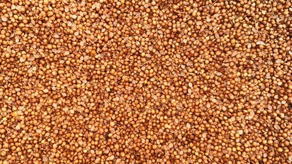 Richly textured background showcases countless golden coriander seeds, filling the frame completely and providing a natural look