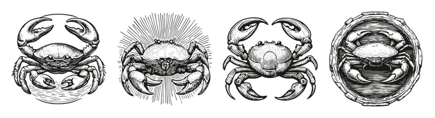 Vintage Crab Illustrations in Black and White Artistic Style, vector illustration, engraving design, logo design set, black and white line
