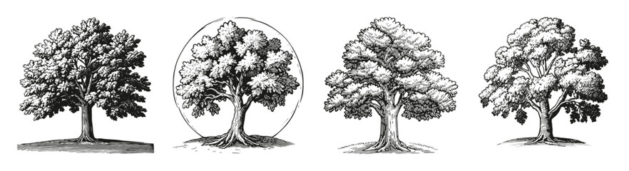 Four Distinct Illustrations of Trees in Various Artistic Styles, vector illustration, engraving design, logo design set, black and white line