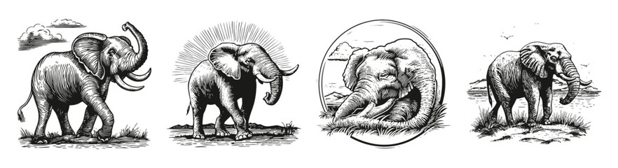 Vintage Illustrations of Elephants in Various Artistic Styles, vector illustration, engraving design, logo design set, black and white line
