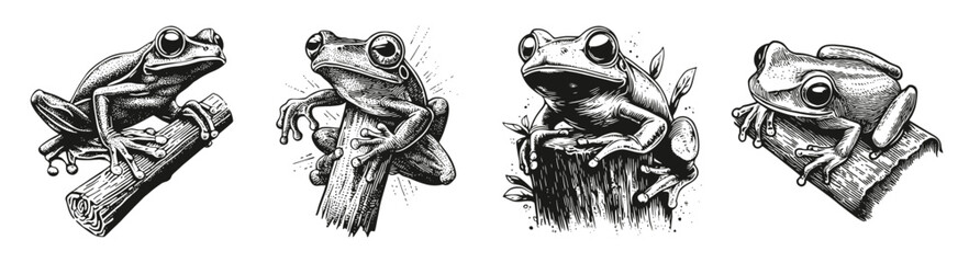 Detailed Sketches of Frogs on Branches in Black and White Art, vector illustration, engraving design, logo design set, black and white line