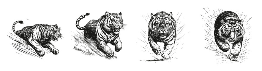 Tiger Running Series Illustration in Black and White Artwork, vector illustration, engraving design, logo design set, black and white line