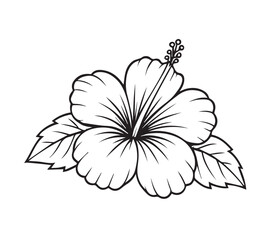 Hibiscus Flower Line Art: Elegant line drawing of a hibiscus flower with leaves, perfect for adding a touch of tropical elegance to your designs. © Natural vibes