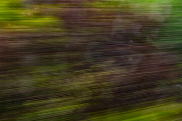 Dynamic motion blur view from high-speed train window: Green landscape, trees & fields rush past at...