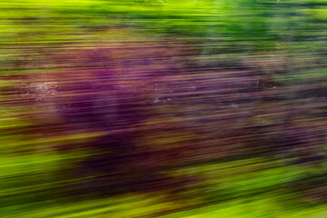 Dynamic motion blur view from high-speed train window: Green landscape, trees & fields rush past at...