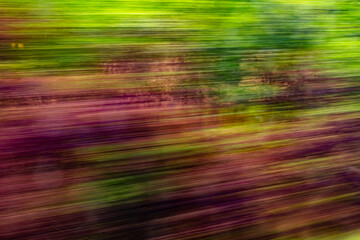 Dynamic motion blur view from high-speed train window: Green landscape, trees & fields rush past at...