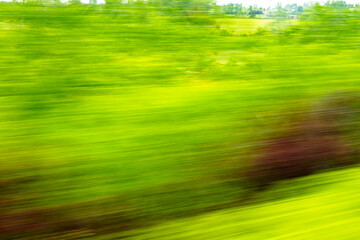 Dynamic motion blur view from high-speed train window: Green landscape, trees & fields rush past at high speed