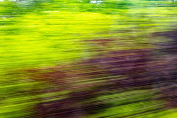 Dynamic motion blur view from high-speed train window: Green landscape, trees & fields rush past at...