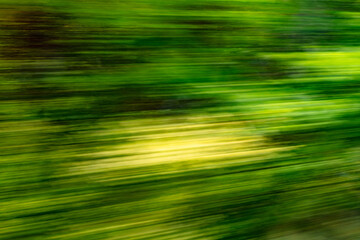 Dynamic motion blur view from high-speed train window: Green landscape, trees & fields rush past at high speed