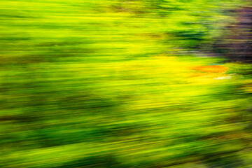 Dynamic motion blur view from high-speed train window: Green landscape, trees & fields rush past at...
